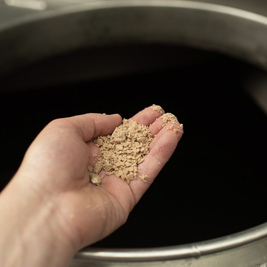 Yeast in hand to begin fermentation
