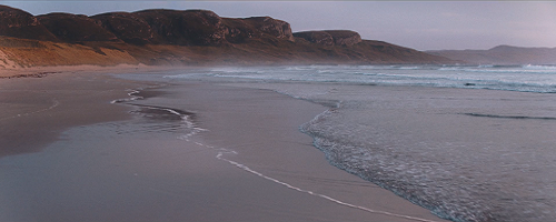 100% Islay – From Barley to Bottle