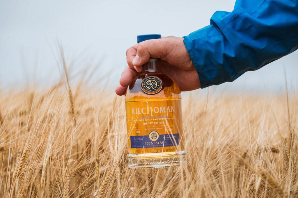 100% Islay in the barley field at Kilchoman Distillery