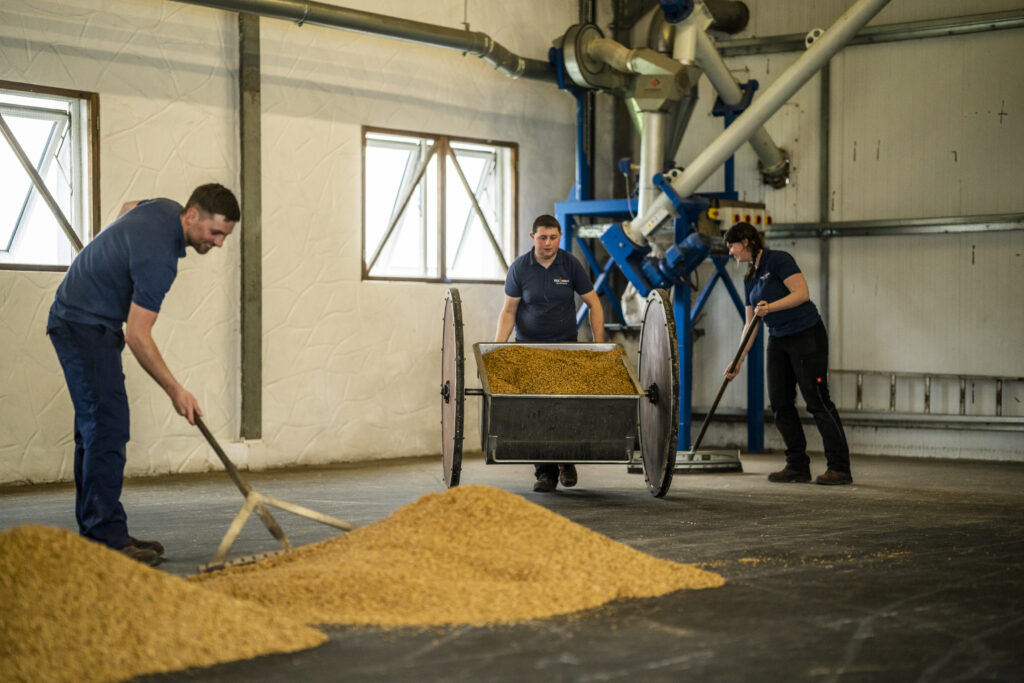 Traditional malt floor at Kilchoman Distillery. Traditional floor malting peated islay whisky
